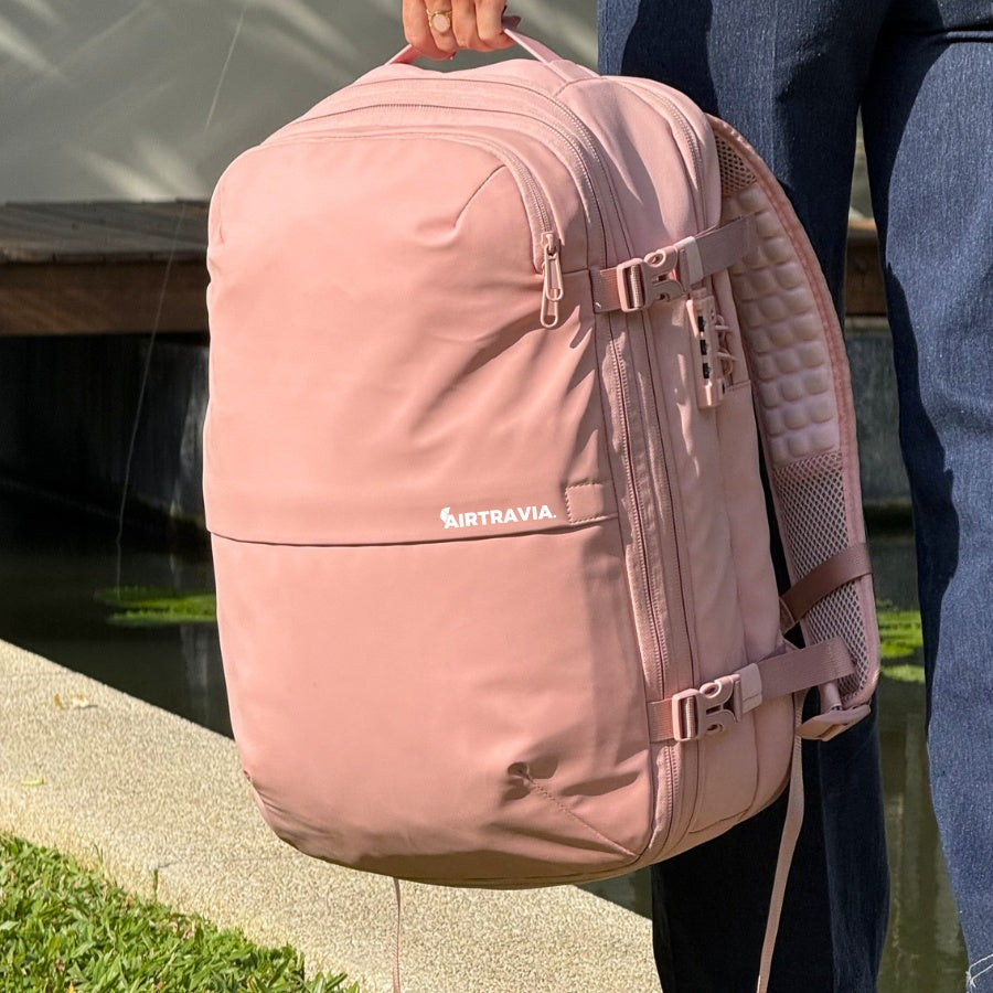 ORIGINAL AIR TRAVEL BAG - PALE TRAVEL PACK