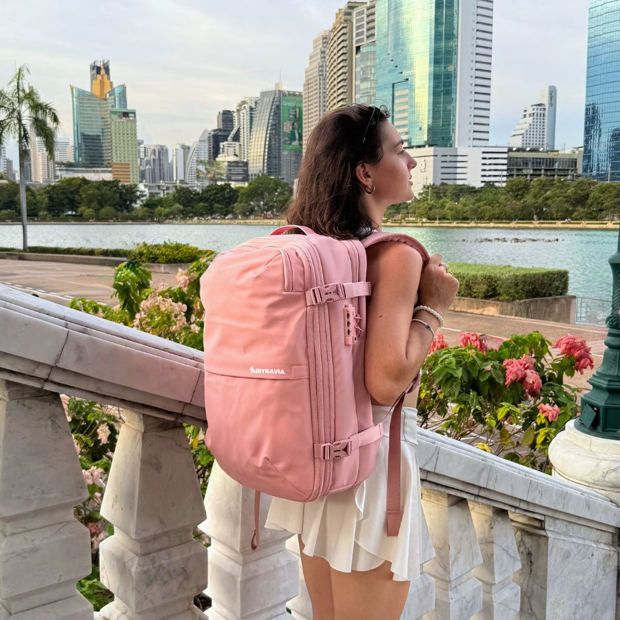 ORIGINAL AIR TRAVEL BAG - PALE TRAVEL PACK
